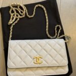 Wallet on Chain (WOC) Classic WOC