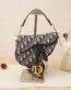 Small saddle bag from Dior