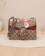 GUCCI Dionysus Small bag, front view