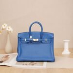 Hermès Birkin 25 Bleu Brume Togo Leather with Gold Hardware (Y Stamp)